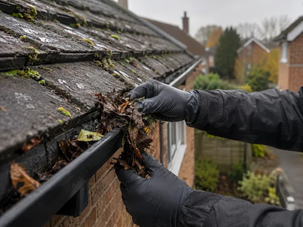 Gutter Cleaning Leaves